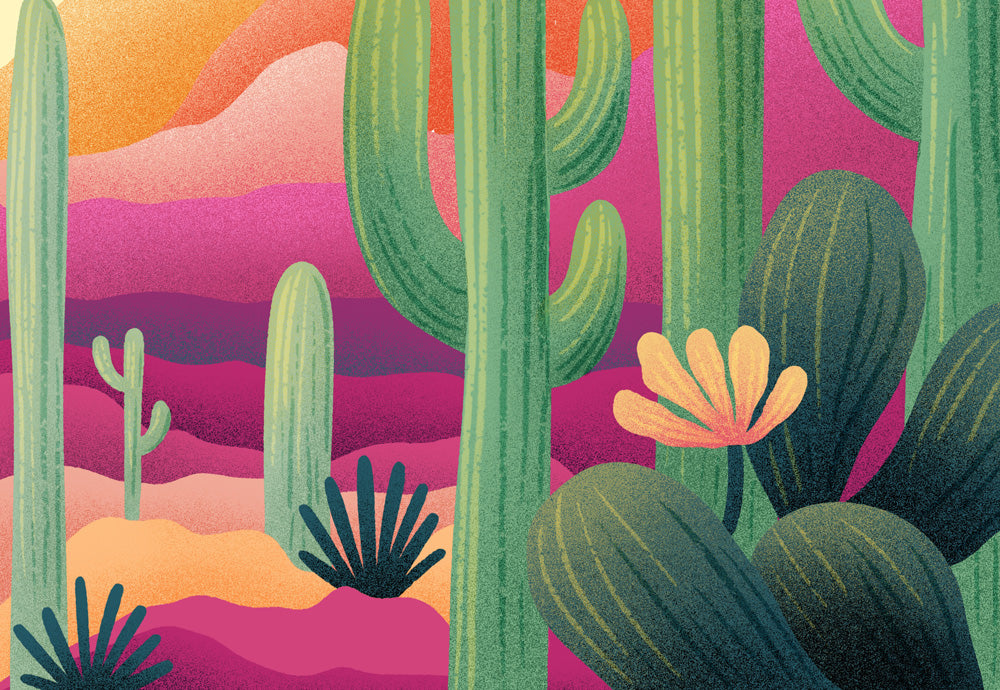 Colorful illustration of cacti and succulents with a vibrant background